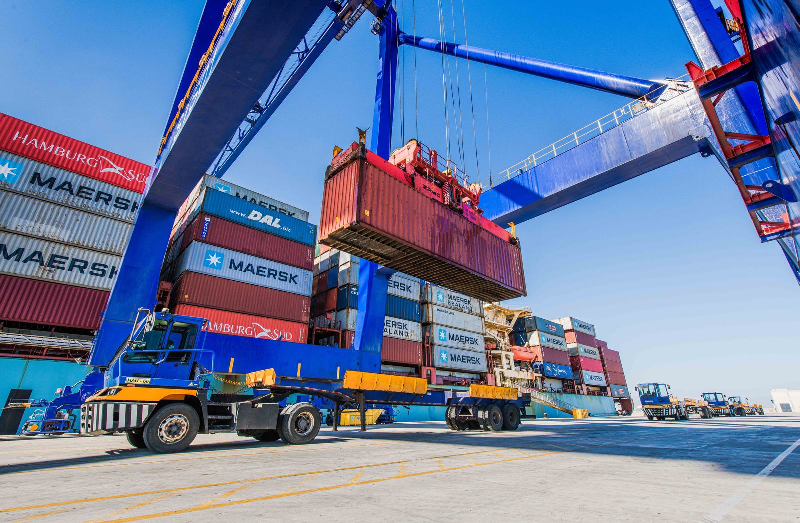 RoRo and vehicle cargo