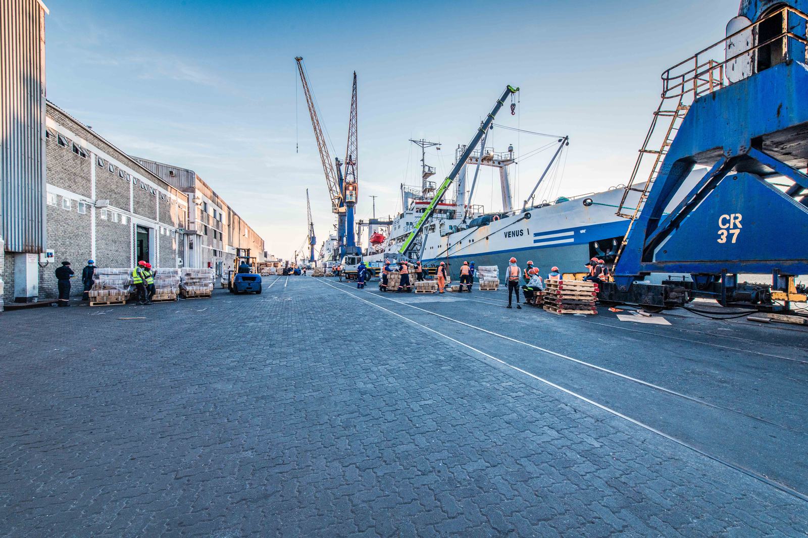 New Container Terminal